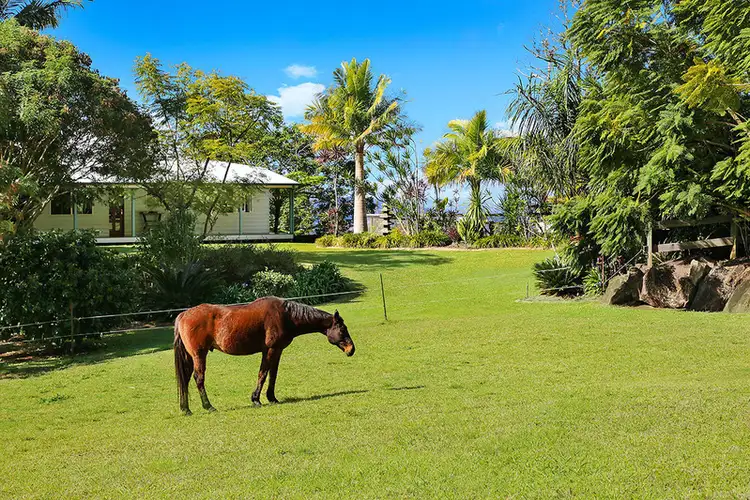 146 Barsons Road, Montville QLD 4560