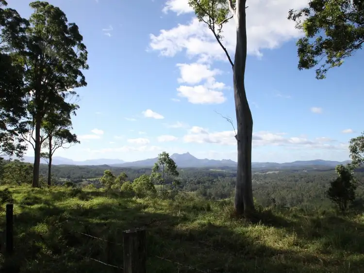 Fifth view of Homely rural property listing, 4119 Kyogle Road, Lillian Rock NSW 2480