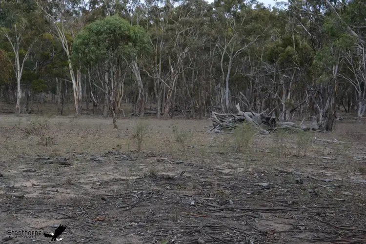 Fourth view of Homely land listing, 1705 Rabbit Fence Road, Pozieres QLD 4352