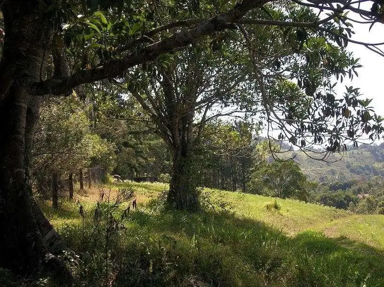 18 Tulsi Lane, Nimbin NSW 2480