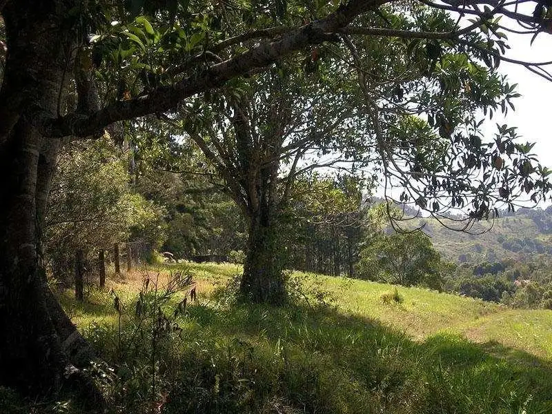 Main view of Homely rural property listing, 18 Tulsi Lane, Nimbin NSW 2480
