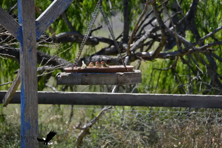 Seventh view of Homely house listing, 105 Mt Tully Road, Stanthorpe QLD 4380