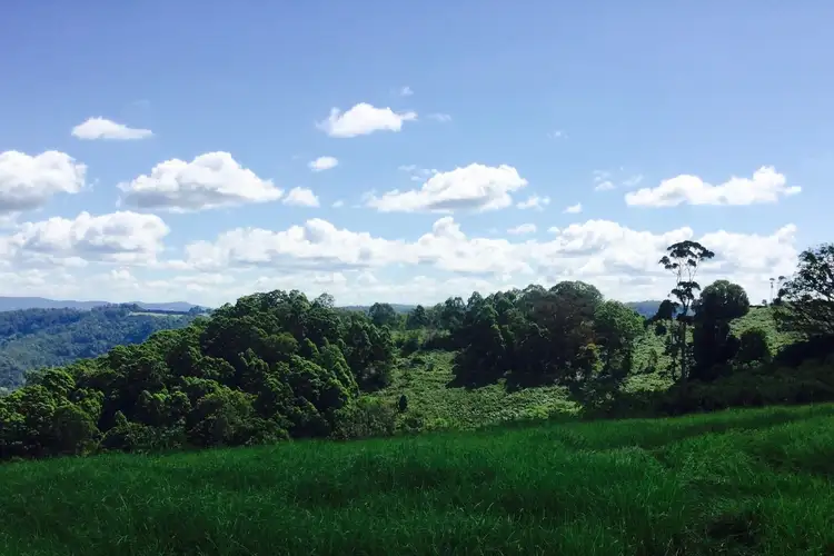 Fourth view of Homely rural property listing, 97 Cox's Road, Koonorigan NSW 2480