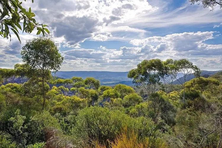 Fifth view of Homely house listing, 159 Cliff Drive, Katoomba NSW 2780