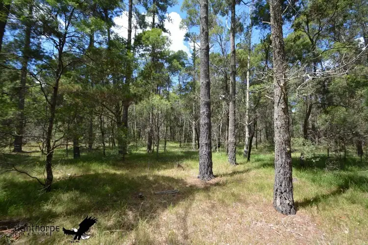 Seventh view of Homely rural property listing, LOT 155 Blackbutt Road, Sugarloaf QLD 4380