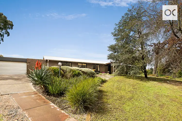 Third view of Homely house listing, 31 Thorngate Drive, Belair SA 5052