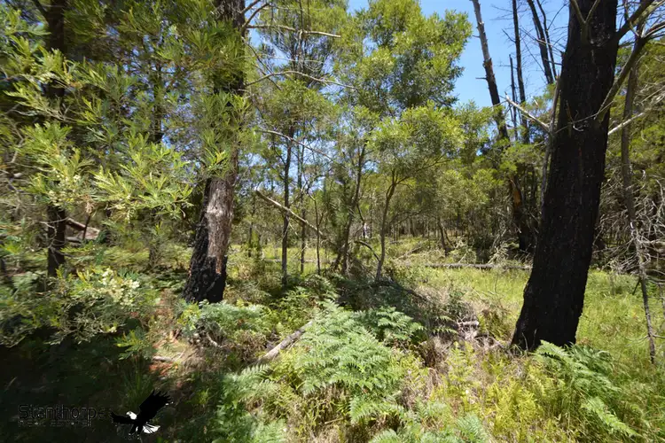 Sixth view of Homely rural property listing, LOT 140 Blackbutt Road, Sugarloaf QLD 4380