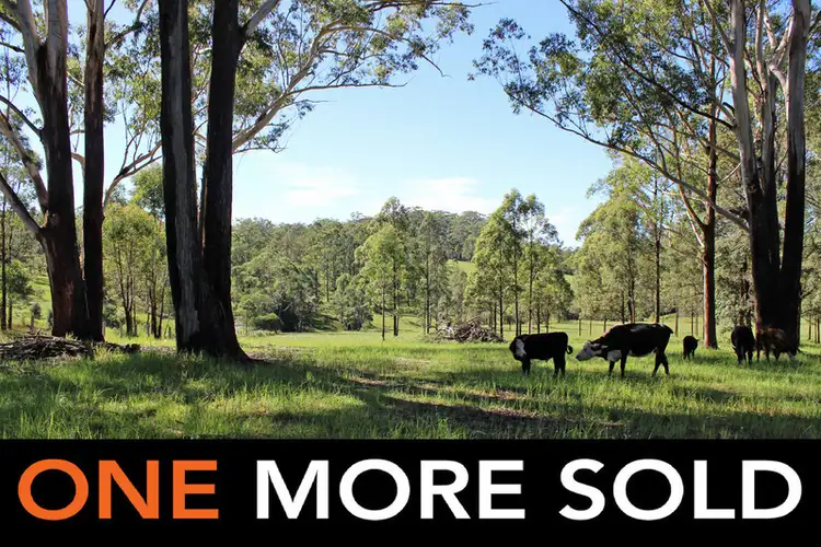 Main view of Homely rural property listing, Lot 30 Chain O Ponds Road, Collombatti NSW 2440