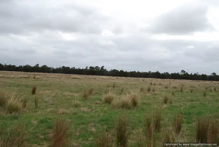 Second view of Homely rural property listing, 285 Lower Goon Nure Road, Goon Nure VIC 3875