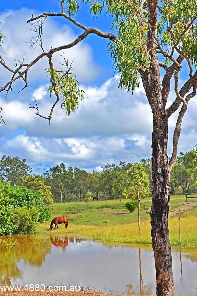 Second view of Homely rural property listing, 510 Bilwon Road, Mareeba QLD 4880