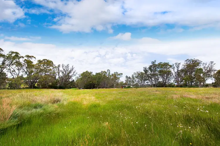 Fifth view of Homely rural property listing, 159 Bendigo - Sutton Grange Road, Elphinstone VIC 3448