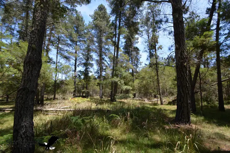 LOT 140 Blackbutt Road, Sugarloaf QLD 4380