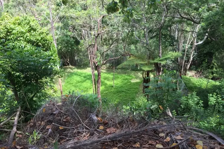 Third view of Homely land listing, 19 Tanjenong Place, Burleigh Heads QLD 4220