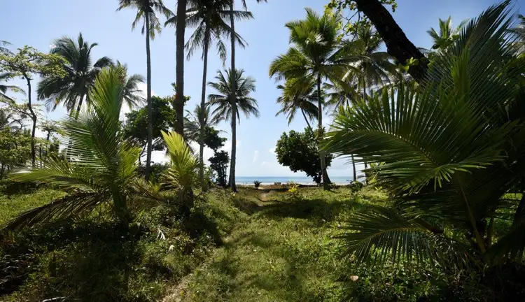 Fifth view of Homely land listing, 30 Donkin Lane, Mission Beach QLD 4852