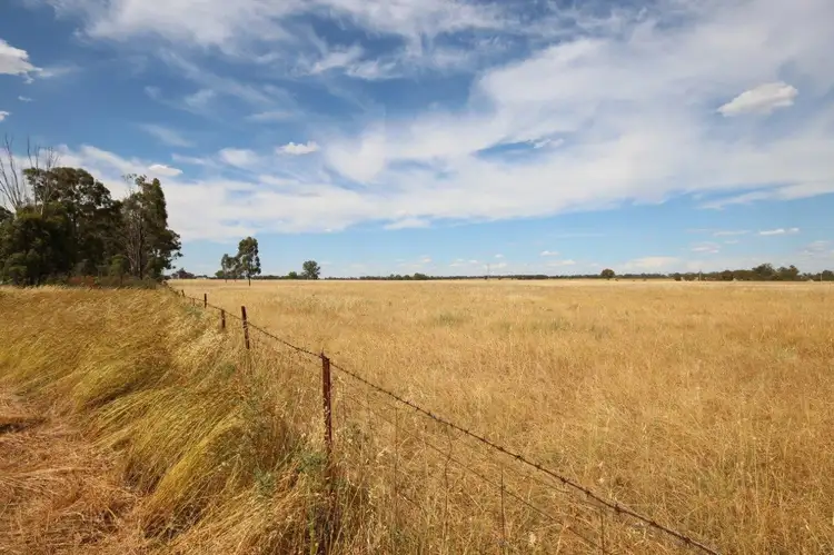 Second view of Homely rural property listing, 152R Mogriguy Road, Eumungerie NSW 2831