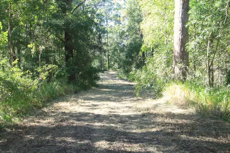 Third view of Homely rural property listing, 30/1157 Stony Chute Road, Nimbin NSW 2480