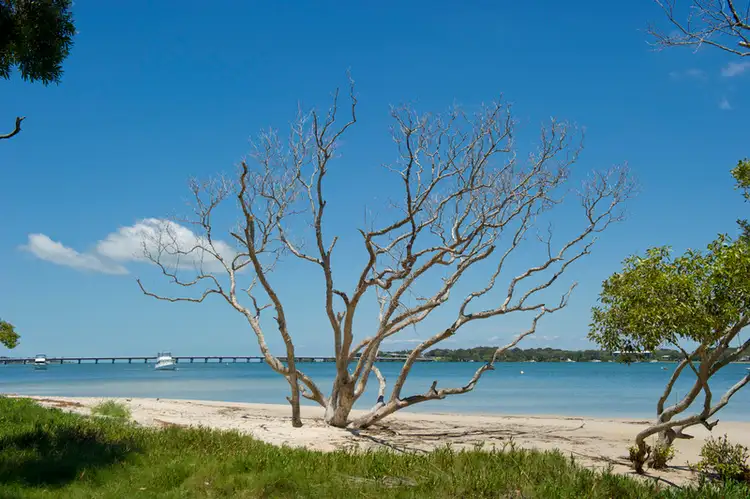 Seventh view of Homely unit listing, 1/119 Sylvan Beach Esplanade, Bellara QLD 4507