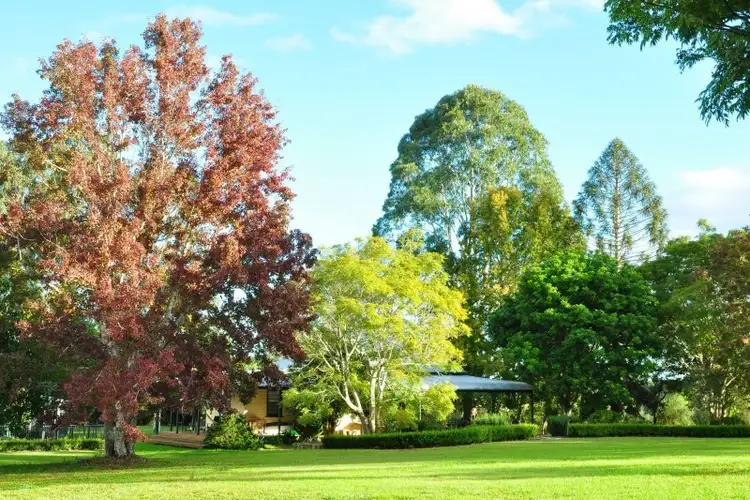 Second view of Homely house listing, 149 Pearson Road, Eltham NSW 2480