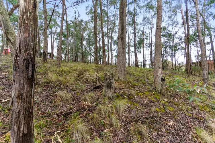 Third view of Homely land listing, 99 Dales Creek Avenue, Dales Creek VIC 3341