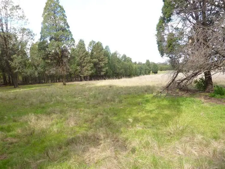 Sixth view of Homely rural property listing, Lot 22 Peak Hill Road, Dubbo NSW 2830