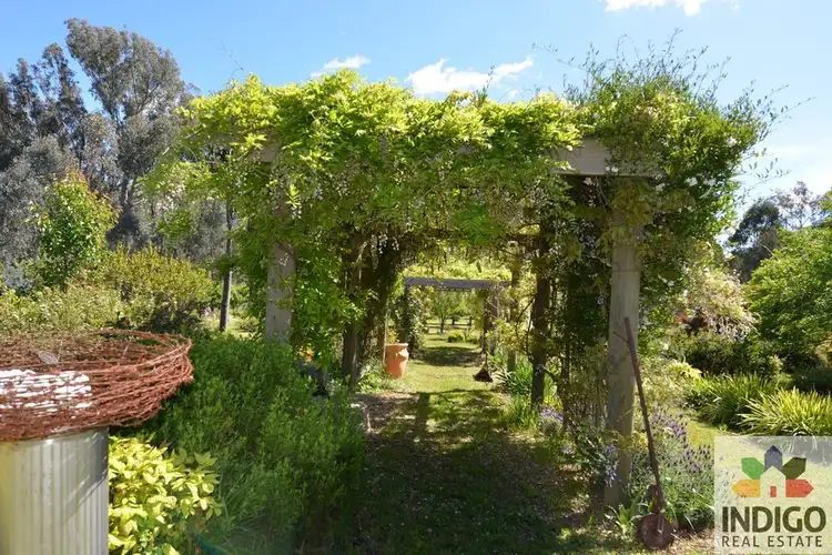 Sixth view of Homely house listing, 134 Mcfeeters Road, Beechworth VIC 3747