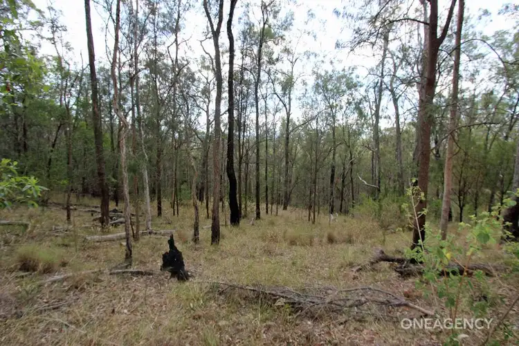 Fifth view of Homely rural property listing, 168 Apple Tree Lane, Temagog NSW 2440