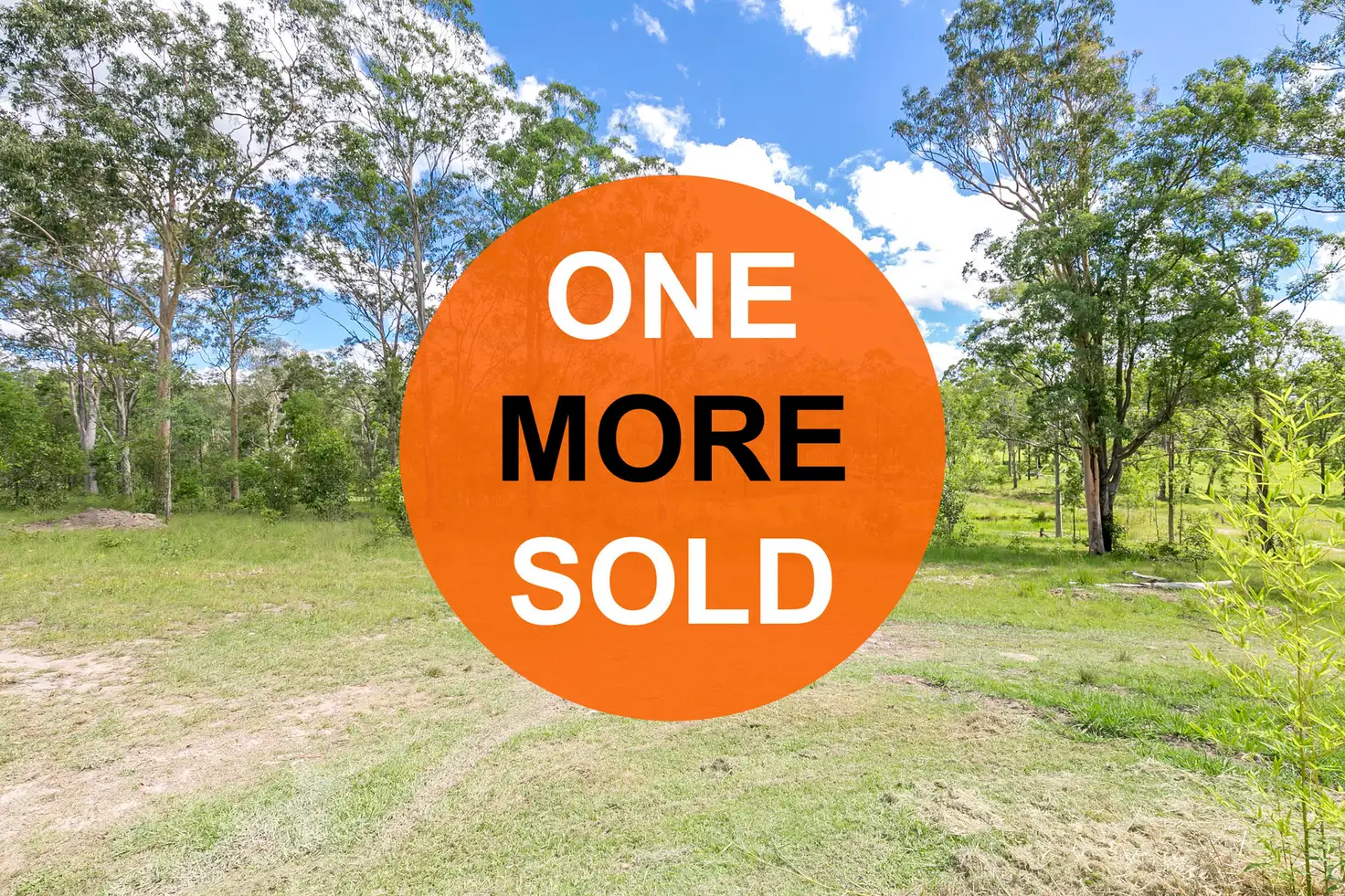 Main view of Homely rural property listing, LOT 373 Mines Road, Mungay Creek NSW 2440