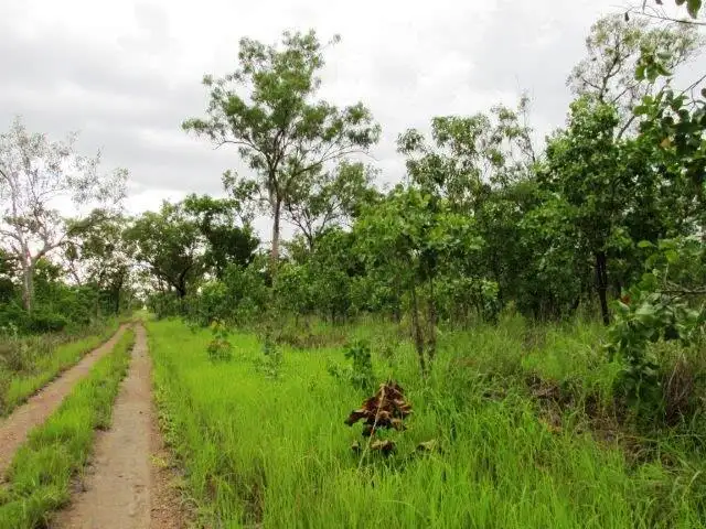 Second view of Homely land listing, 547 Parkin Road, Fly Creek NT 822
