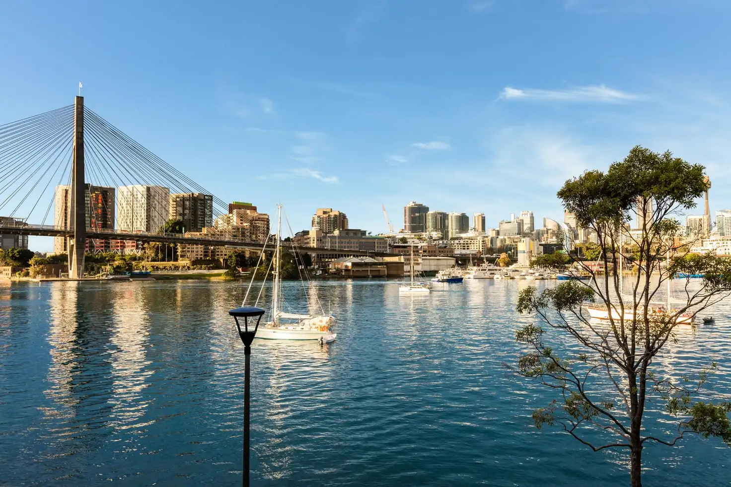 Main view of Homely unit listing, 23/29 Cook Street, Glebe NSW 2037