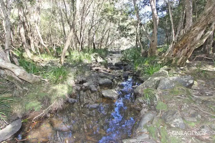 Fifth view of Homely rural property listing, 417 Pipers Creek Road, Dondingalong NSW 2440