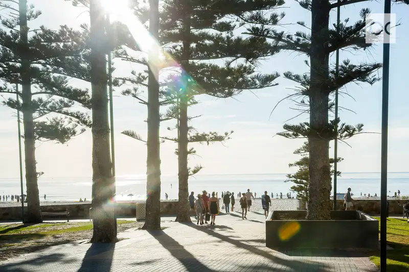 Main view of Homely unit listing, 3/6 Ronald Terrace, Glenelg North SA 5045