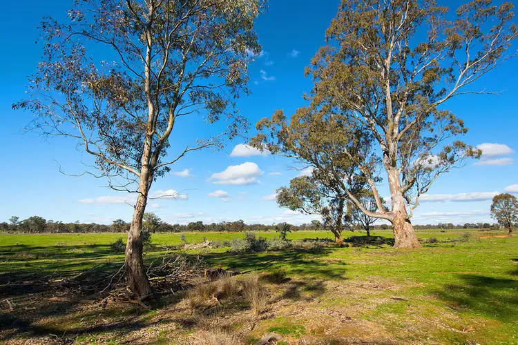 LOT 4 Muckleford-Walmer & Lewis Road, Walmer VIC 3463
