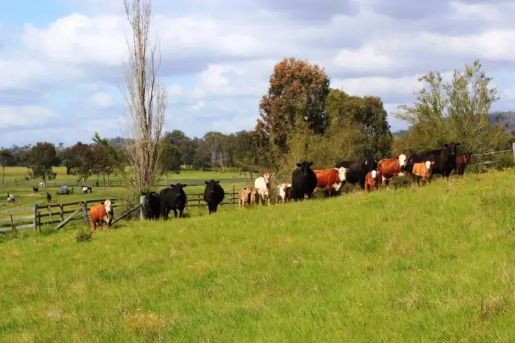 Sixth view of Homely rural property listing, 235 Finns Road, Menangle NSW 2568