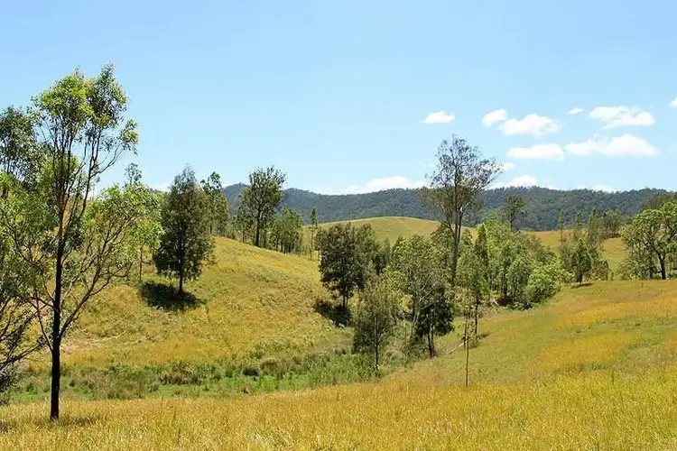 Seventh view of Homely rural property listing, 566 Fifes Creek Road, Bellbrook NSW 2440