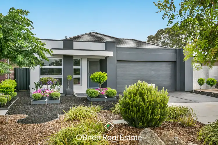 8B Beldale Court, Sandhurst VIC 3977