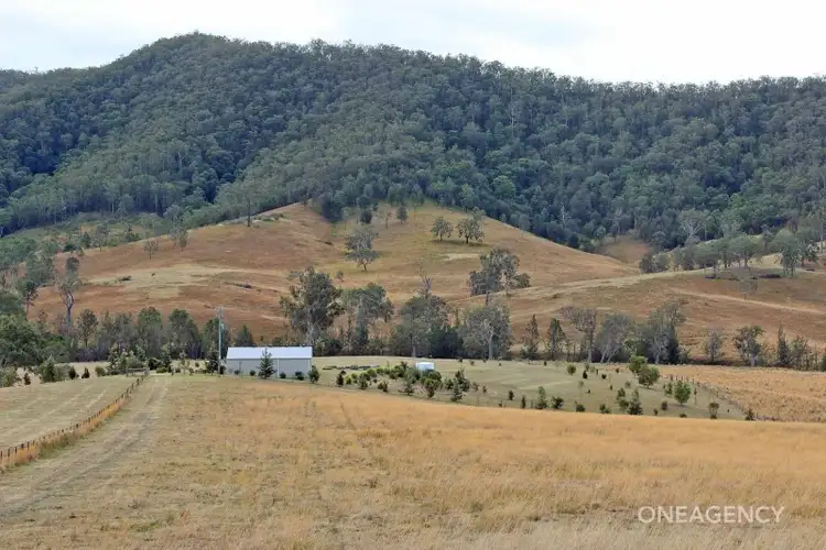Second view of Homely rural property listing, Lot 4 Carrai Road, Willi Willi NSW 2440