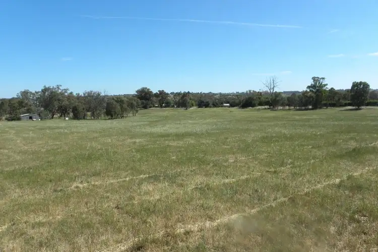 Seventh view of Homely land listing, 54 Briggs Street, Young NSW 2594