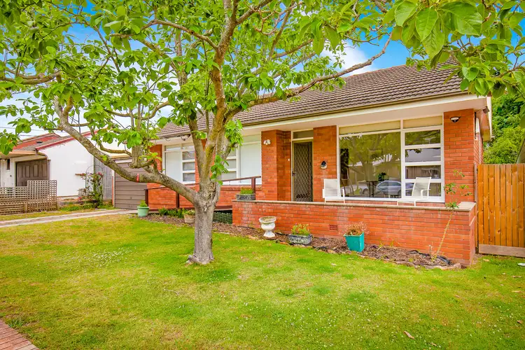 Main view of Homely house listing, 13 Turner Street, Dee Why NSW 2099