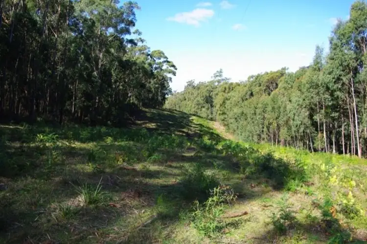 Second view of Homely rural property listing, LOT 35 Murrabrine Road, Yowrie NSW 2550