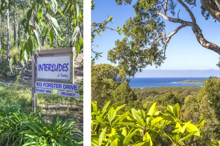 Second view of Homely rural property listing, 103 Forster Drive, Bawley Point NSW 2539