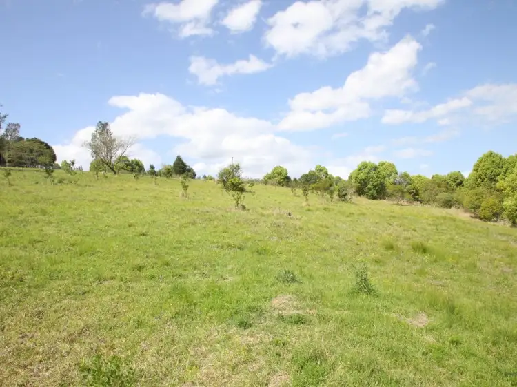Second view of Homely rural property listing, 31 Arkinstall Road, Tuntable Creek NSW 2480