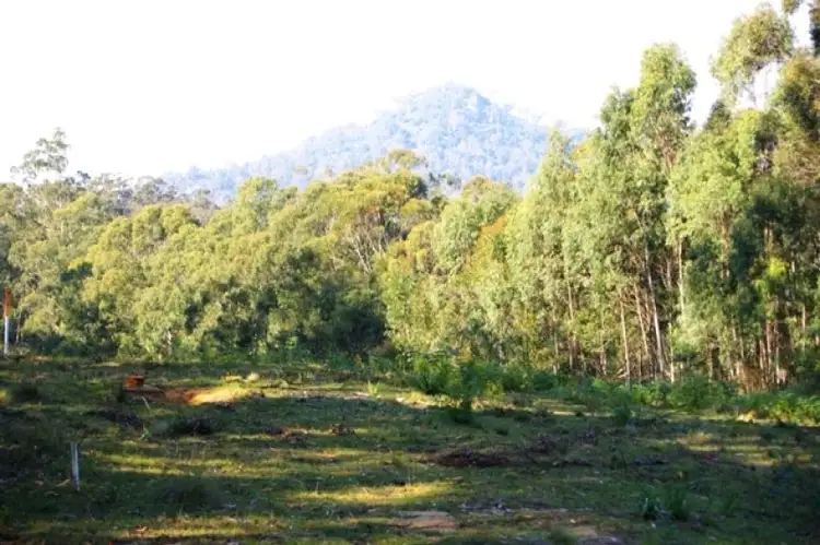 LOT 35 Murrabrine Road, Yowrie NSW 2550