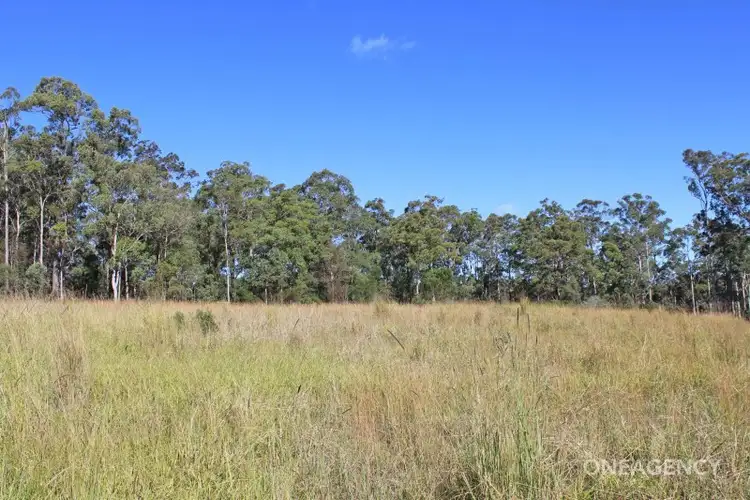 Second view of Homely land listing, LOT 12 Pipers Creek Road, Dondingalong NSW 2440
