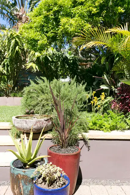 Fifth view of Homely semi-detached listing, 7 Jamieson Avenue, Fairlight NSW 2094