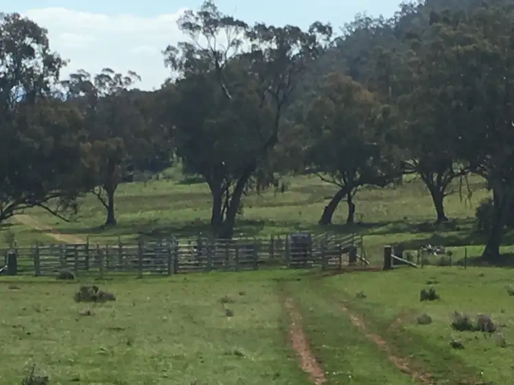 Fourth view of Homely rural property listing, 1778 Piallaway Road, Currabubula NSW 2342