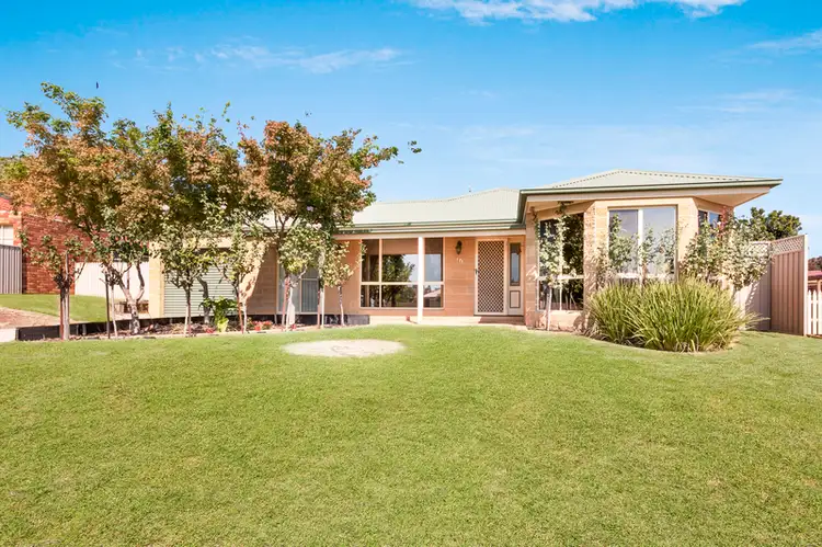 Main view of Homely house listing, 16 Hogan Court, Wodonga VIC 3690
