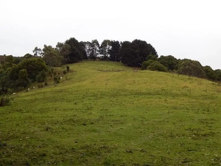 Fifth view of Homely rural property listing, 90 O' Connors Road North, Toora North VIC 3962