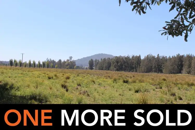 Main view of Homely rural property listing, Lot 4 Maria River Road, Crescent Head NSW 2440