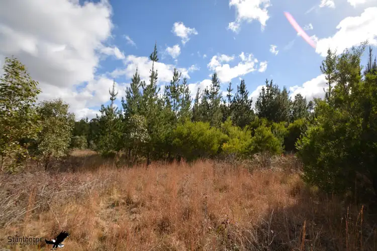 Sixth view of Homely rural property listing, LOT 209 Central Road, Sugarloaf QLD 4380