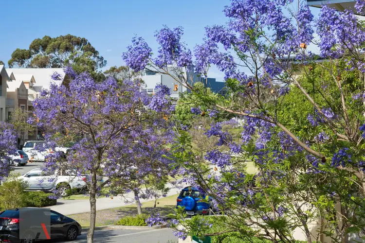Third view of Homely apartment listing, 2/9 Brigid Road, Subiaco WA 6008